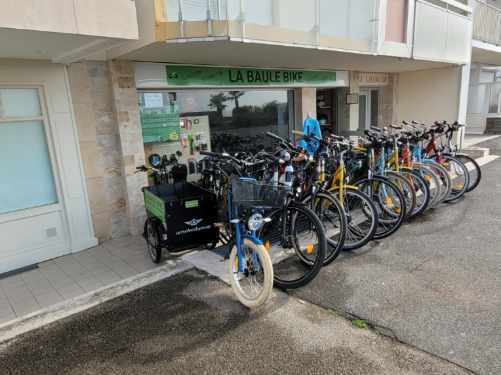 Vélo musculaire adulte