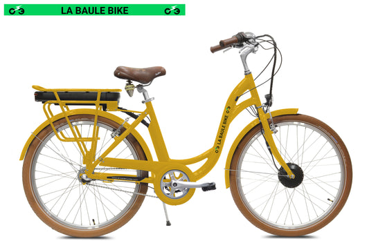 VAE e-colors DESTOCKAGE FLOTTE DE LOCATION