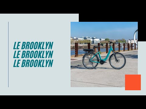 VAE Brooklyn Vintage 2026- Arcade Cycles