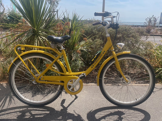 Vélo hollandais - Arcade Cycles