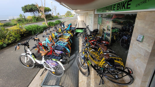 Vélo musculaire adulte