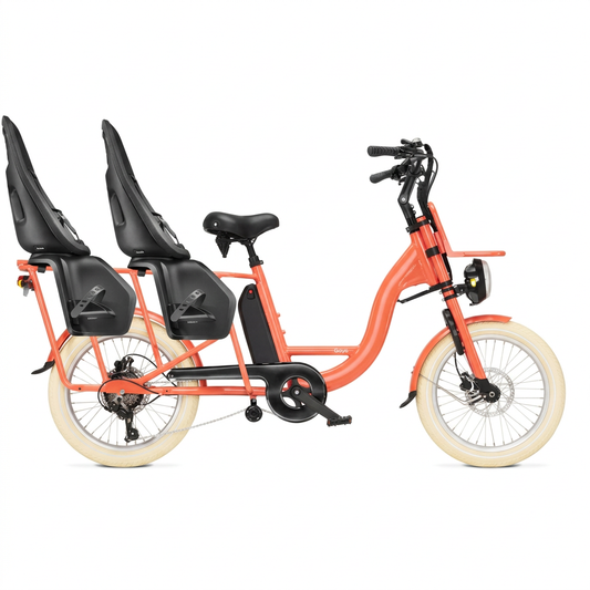 Gaya Longtail avec marges