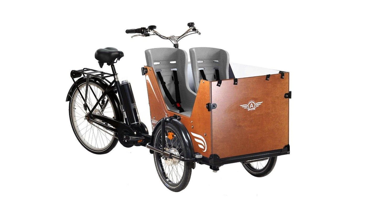 Cargo électrique triporteur (150-190cm)